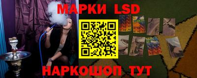 mdpv Бердск