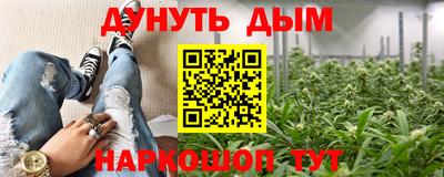 mdpv Бердск