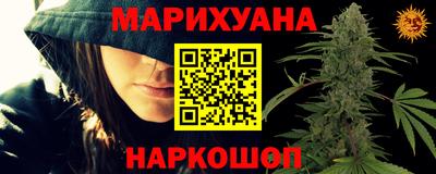 mdpv Бердск