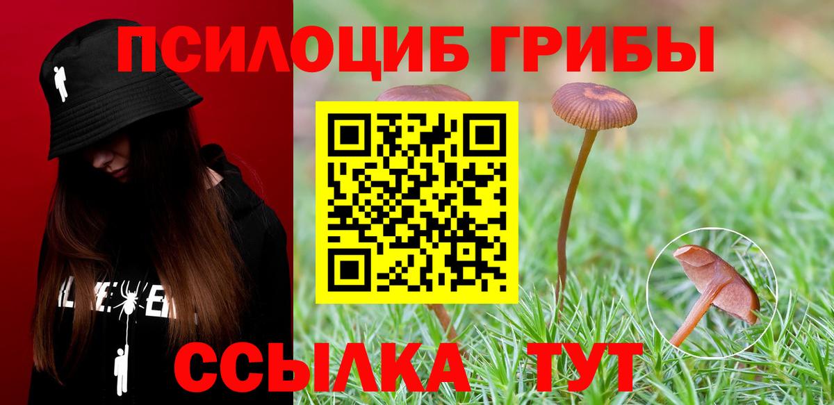 Псилоцибиновые грибы мухоморы  Вход с VPN  Мценск 